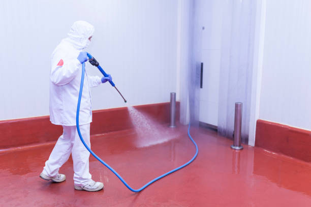 Best Soft Washing  in Kingston, NY